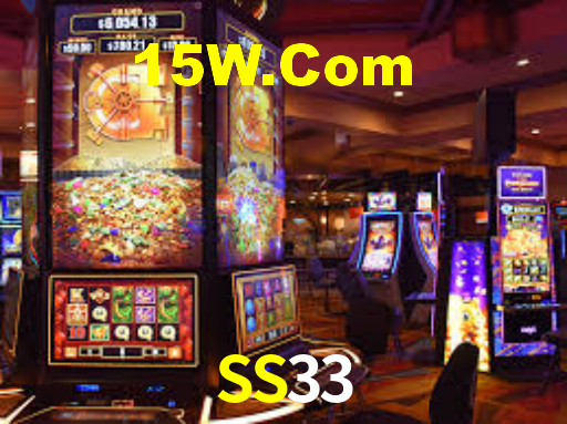 SS33