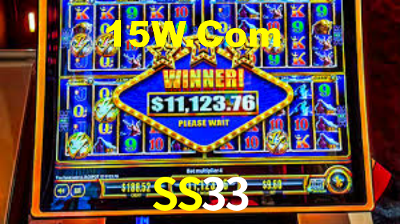 SS33