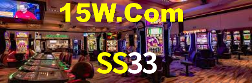 SS33