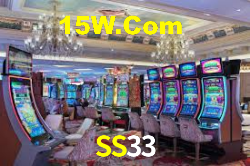 SS33